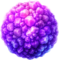 Pollen